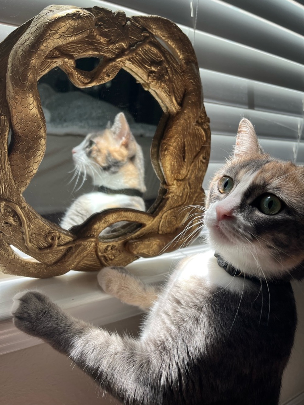 Meet your Posher, Anabelle